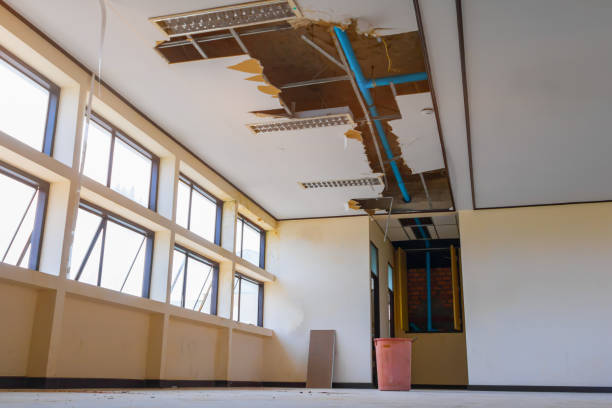 Best Residential water damage restoration  in Dover, NH