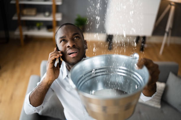 Best Water damage restoration experts  in Dover, NH
