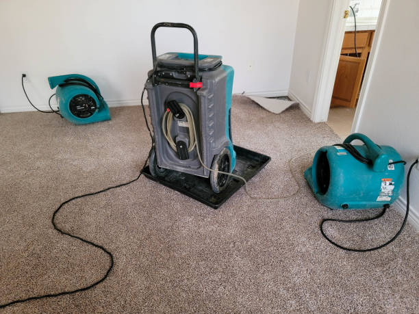 Best Sewage cleanup and water damage restoration  in Dover, NH