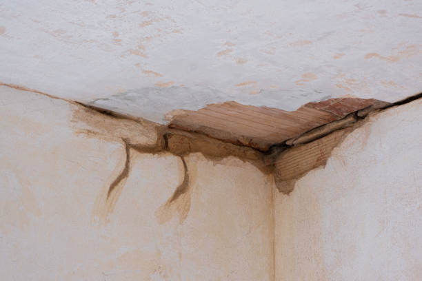 Best Water damage contractors near me  in Dover, NH