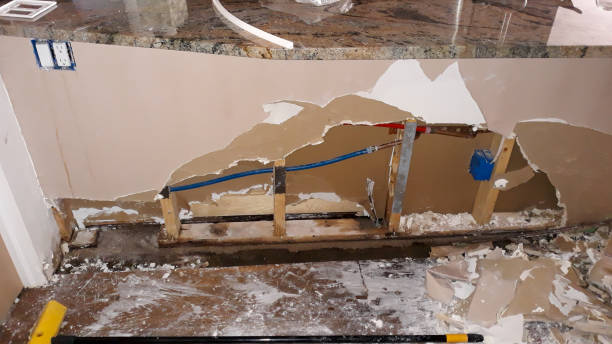 Best Professional water damage repair  in Dover, NH
