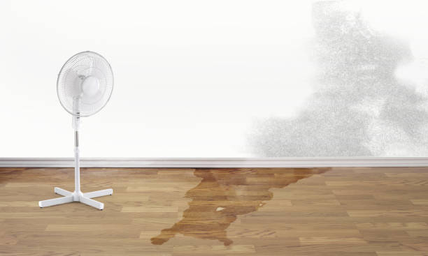 Trusted NH Water damage restoration Experts