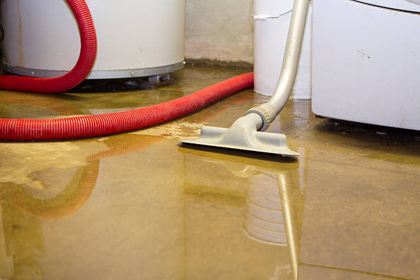 Best Water damage cleanup near me  in Dover, NH