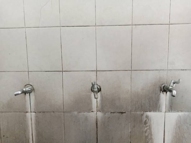 Best Local water damage restoration  in Dover, NH