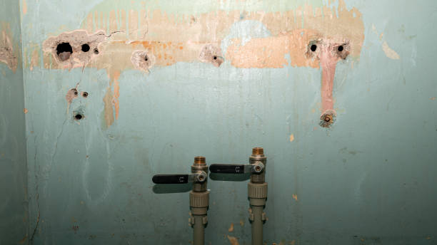 Water damage restoration experts in NH
