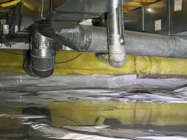 Best Basement water damage restoration  in Dover, NH