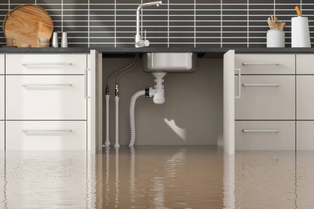 Water damage restoration mold remediation in NH