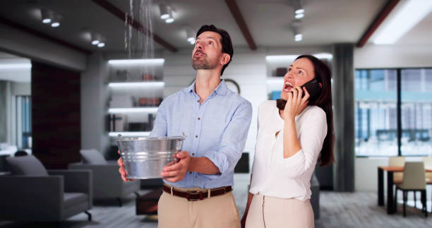 Best Water damage restoration mold remediation  in Dover, NH