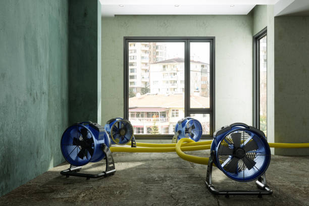 Best 24-hour water damage restoration  in Dover, NH