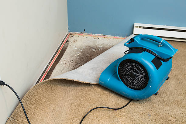 Best Fire Damage Restoration  in Dover, NH